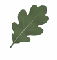 Ground to Oak oak leaf logo